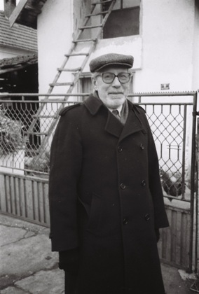 Dragoslav Mihailović književnik